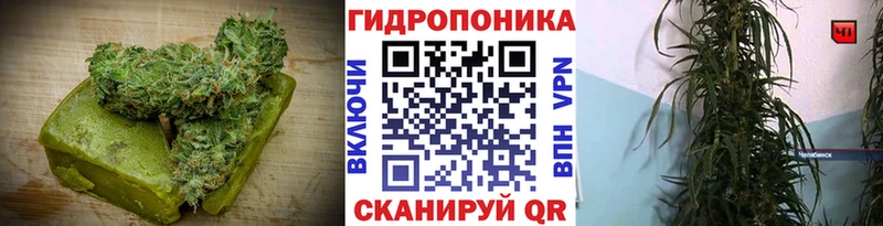 mega вход  наркота  Ветлуга  Canna-Cookies конопля 